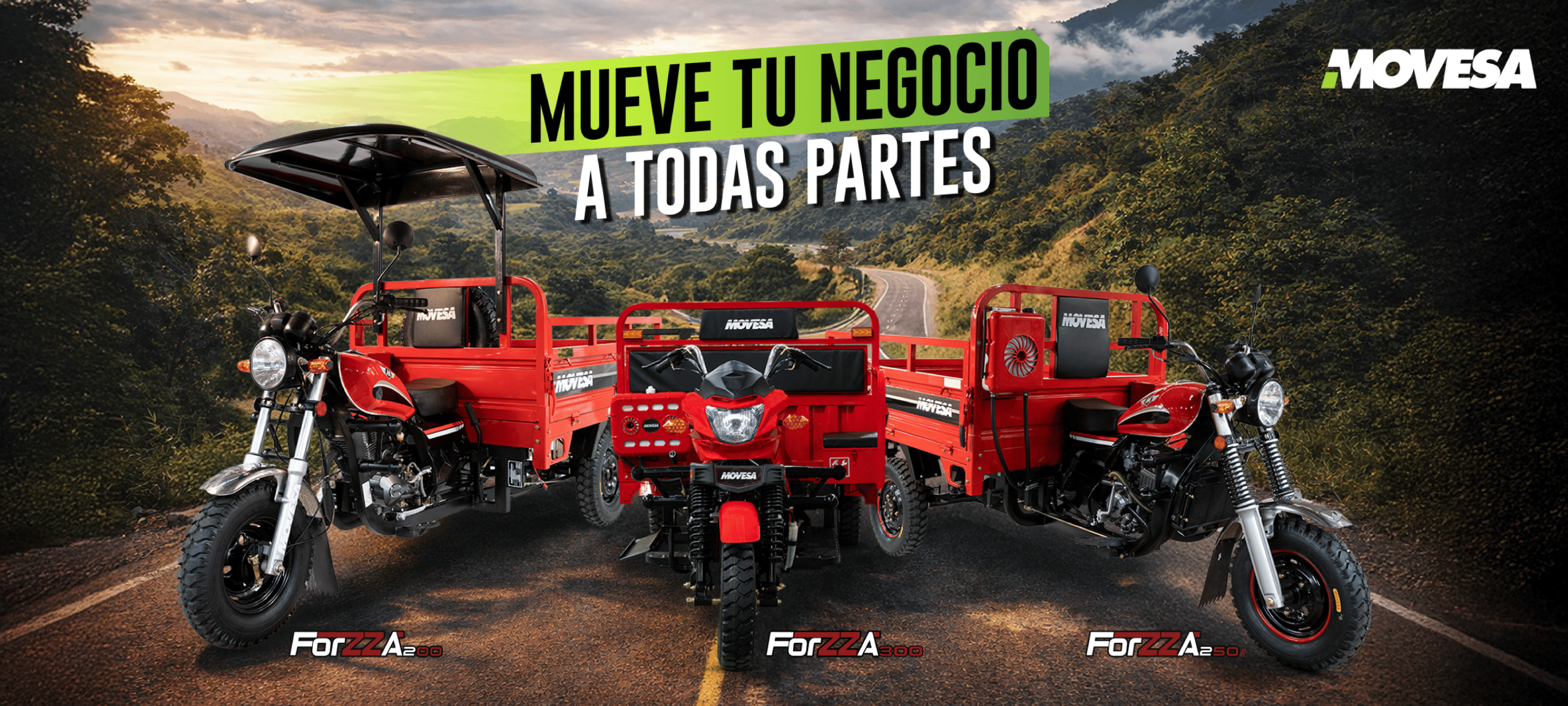 Cuadro Cuatrimotos